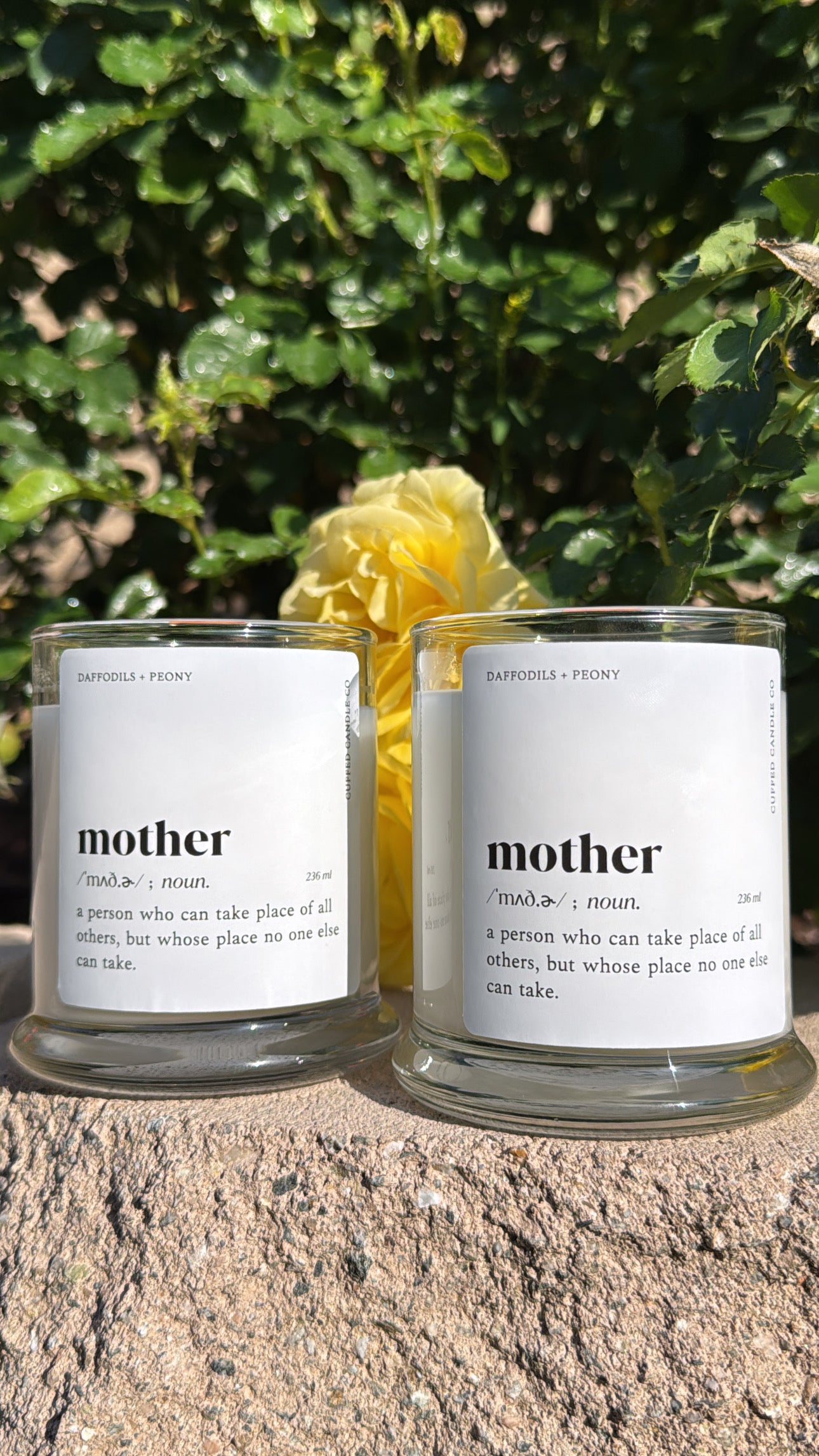 Daffodils + Peony | 236 ml